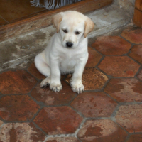 Photo de profil de Aubade