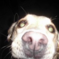 Photo de profil de Saïa