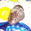 Photo de Charly