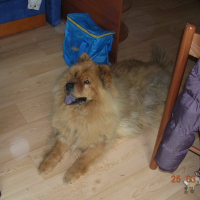Photo de profil de Malice