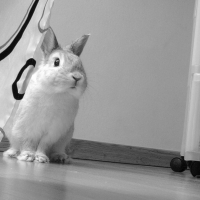 Photo de profil de Plum
