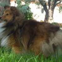 Photo de profil de Chayton