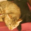 Photo de Schweeps et freddy