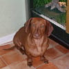 Photo de Zoé