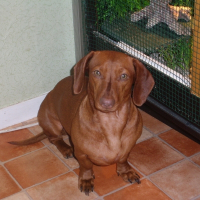 Photo de profil de Zoé