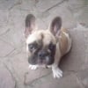 Photo de E-pop