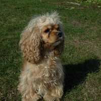 Photo de profil de Caramelle