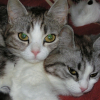 Photo de Hadesse & sanka