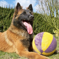 Photo de profil de Dasco 