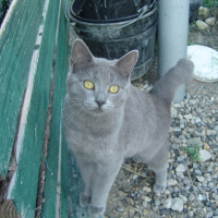 Photo de profil de Dolmen