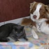 Photo de Cuzco