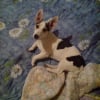 Photo de Cana