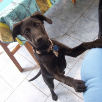 Photo de profil de Angus