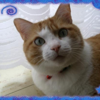 Photo de profil de Roucky