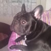 Photo de Cimba