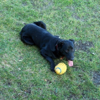 Photo de profil de Zeus