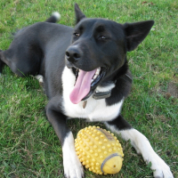 Photo de profil de Apollon