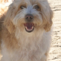 Photo de profil de Cannelle