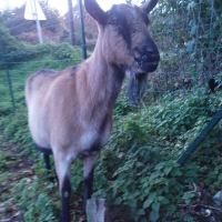 Photo de profil de Clémy