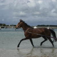 Photo de profil de Piquepaille