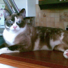 Photo de Junior