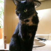 Photo de profil de Rocky