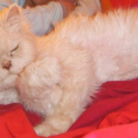 Photo de profil de Léo