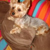 Photo de Shelly