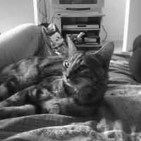 Photo de profil de Fiona