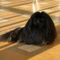 Photo de profil de Baba cool