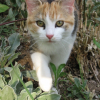 Photo de Canelle