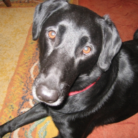 Photo de profil de Mimi