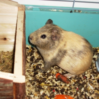 Photo de profil de Praline