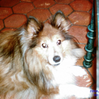 Photo de profil de Moreen