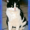 Photo de Félix