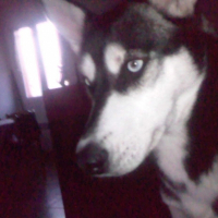 Photo de profil de Maya