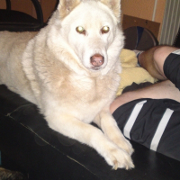 Photo de profil de Priska