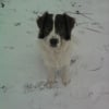 Photo de Titus