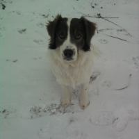 Photo de profil de Titus