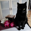 Photo de Caramel