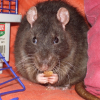 Photo de Bounty