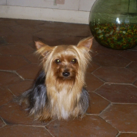 Photo de profil de Mia