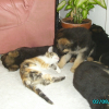Photo de Mimine