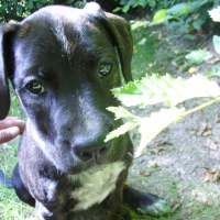 Photo de profil de Baya