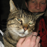 Photo de profil de Rasta