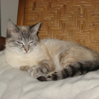Photo de profil de Mimine