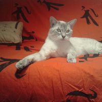 Photo de profil de Isis
