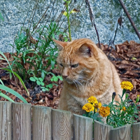 Photo de profil de Dédé