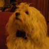Photo de Andy