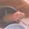Photo de Stuart